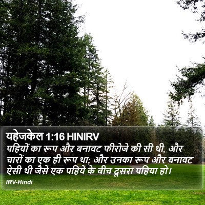 यहेजकेल 1:16 HINIRV Bible Verse Image