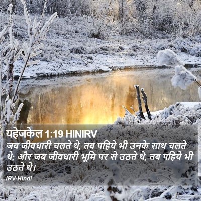 यहेजकेल 1:19 HINIRV Bible Verse Image