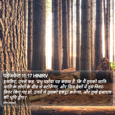 यहेजकेल 11:17 HINIRV Bible Verse Image