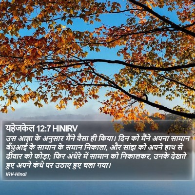 यहेजकेल 12:7 HINIRV Bible Verse Image