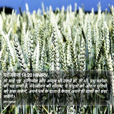 यहेजकेल 14:20 HINIRV Bible Verse Image