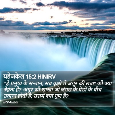 यहेजकेल 15:2 HINIRV Bible Verse Image