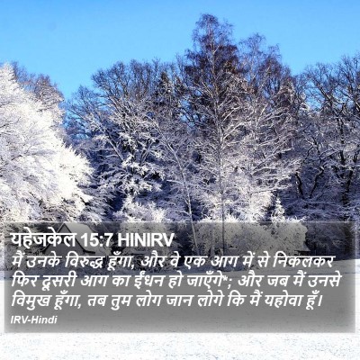 यहेजकेल 15:7 HINIRV Bible Verse Image