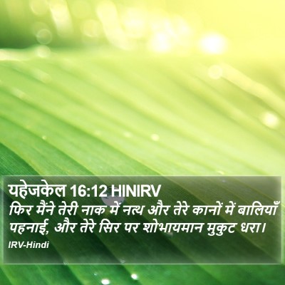 यहेजकेल 16:12 HINIRV Bible Verse Image
