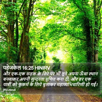यहेजकेल 16:25 HINIRV Bible Verse Image