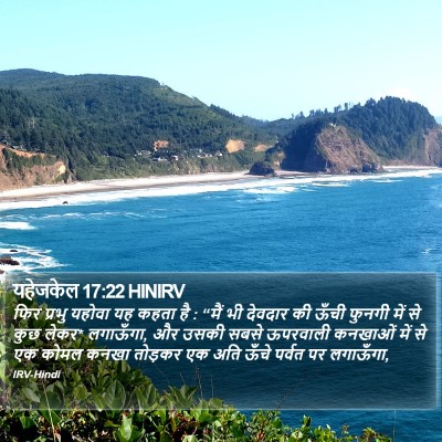 यहेजकेल 17:22 HINIRV Bible Verse Image