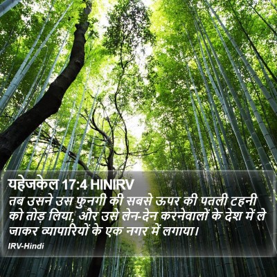 यहेजकेल 17:4 HINIRV Bible Verse Image