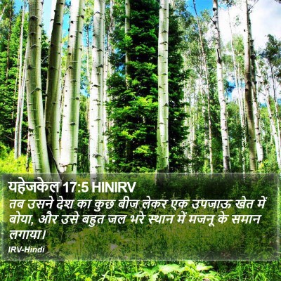 यहेजकेल 17:5 HINIRV Bible Verse Image