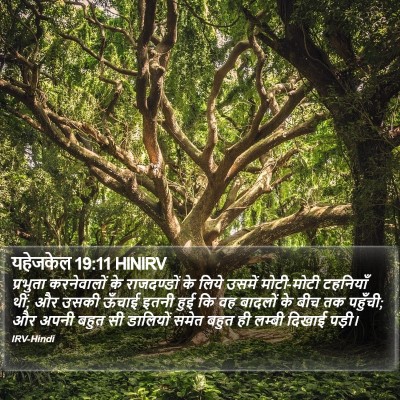 यहेजकेल 19:11 HINIRV Bible Verse Image