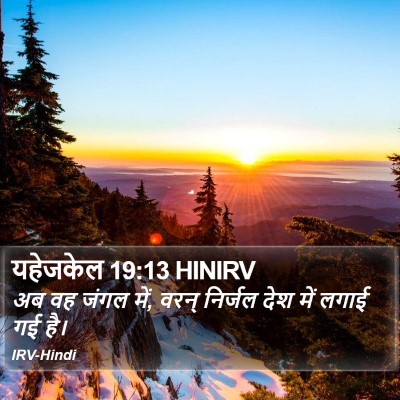 यहेजकेल 19:13 HINIRV Bible Verse Image