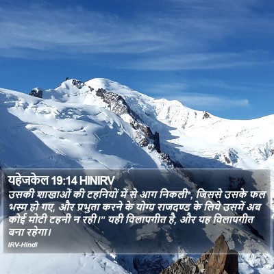 यहेजकेल 19:14 HINIRV Bible Verse Image