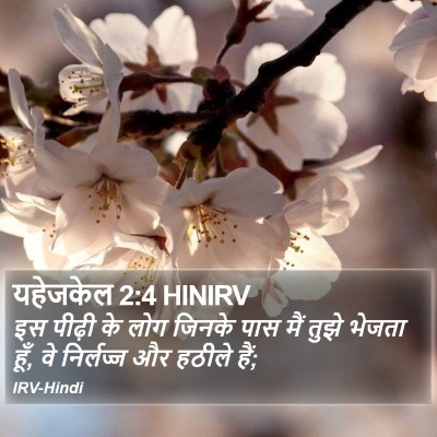 यहेजकेल 2:4 HINIRV Bible Verse Image