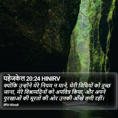 यहेजकेल 20:24 HINIRV Bible Verse Image