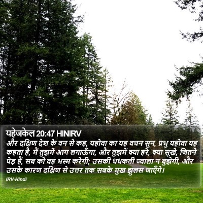 यहेजकेल 20:47 HINIRV Bible Verse Image