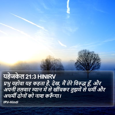 यहेजकेल 21:3 HINIRV Bible Verse Image