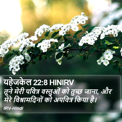 यहेजकेल 22:8 HINIRV Bible Verse Image