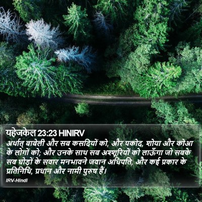 यहेजकेल 23:23 HINIRV Bible Verse Image