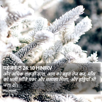 यहेजकेल 24:10 HINIRV Bible Verse Image