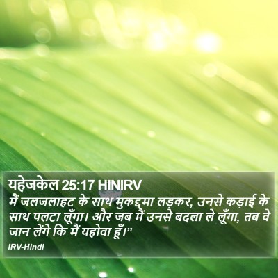 यहेजकेल 25:17 HINIRV Bible Verse Image