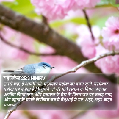 यहेजकेल 25:3 HINIRV Bible Verse Image