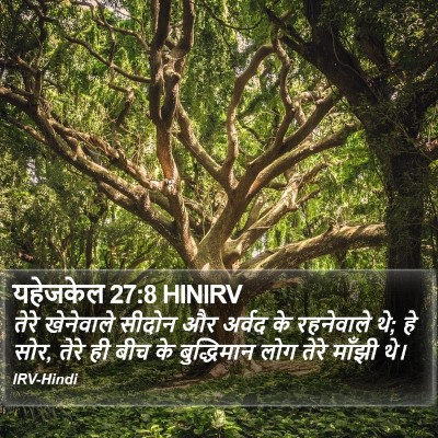 यहेजकेल 27:8 HINIRV Bible Verse Image