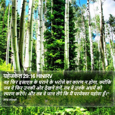 यहेजकेल 29:16 HINIRV Bible Verse Image