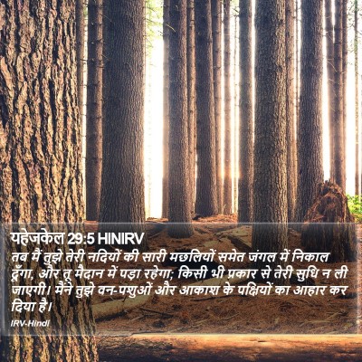 यहेजकेल 29:5 HINIRV Bible Verse Image