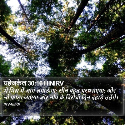 यहेजकेल 30:16 HINIRV Bible Verse Image