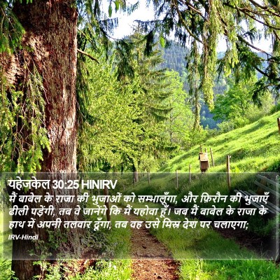 यहेजकेल 30:25 HINIRV Bible Verse Image