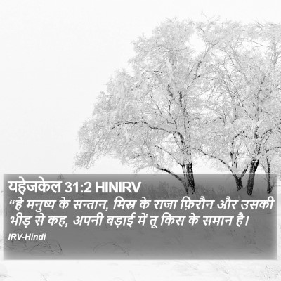 यहेजकेल 31:2 HINIRV Bible Verse Image