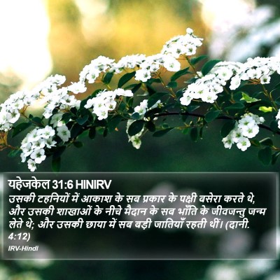 यहेजकेल 31:6 HINIRV Bible Verse Image