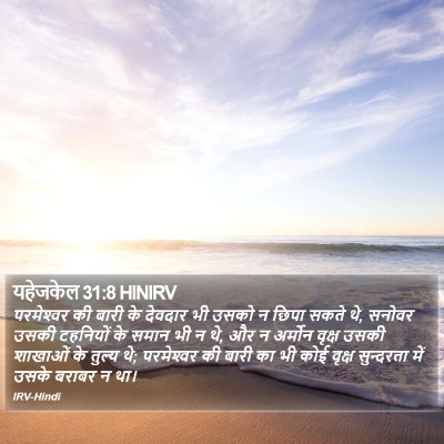 यहेजकेल 31:8 HINIRV Bible Verse Image