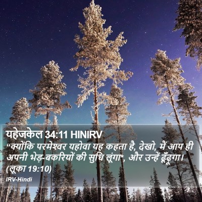 यहेजकेल 34:11 HINIRV Bible Verse Image