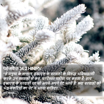 यहेजकेल 34:2 HINIRV Bible Verse Image
