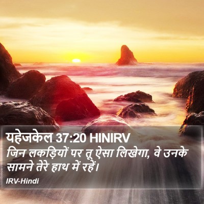 यहेजकेल 37:20 HINIRV Bible Verse Image
