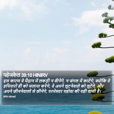 यहेजकेल 39:10 HINIRV Bible Verse Image