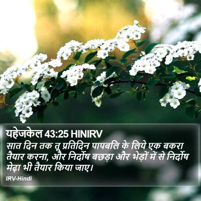 यहेजकेल 43:25 HINIRV Bible Verse Image