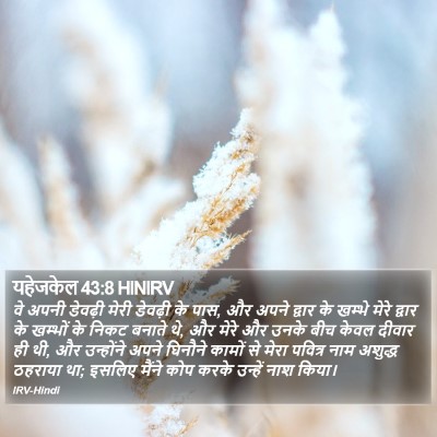 यहेजकेल 43:8 HINIRV Bible Verse Image