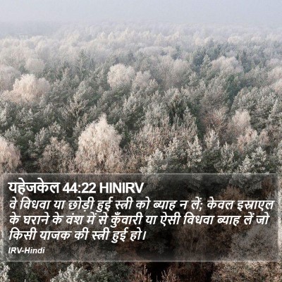 यहेजकेल 44:22 HINIRV Bible Verse Image