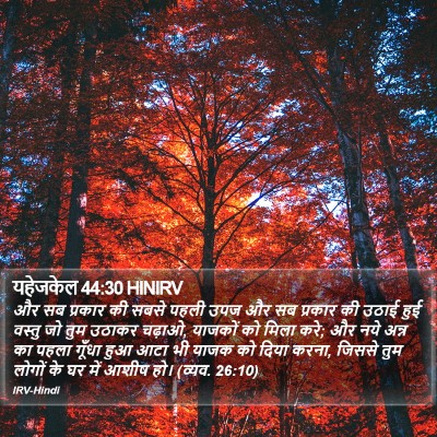 यहेजकेल 44:30 HINIRV Bible Verse Image
