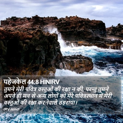 यहेजकेल 44:8 HINIRV Bible Verse Image