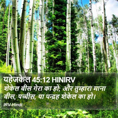 यहेजकेल 45:12 HINIRV Bible Verse Image