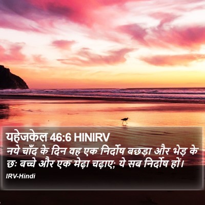 यहेजकेल 46:6 HINIRV Bible Verse Image