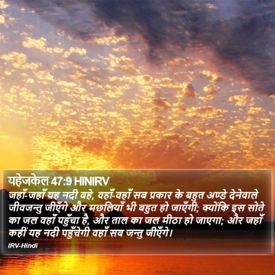 यहेजकेल 47:9 HINIRV Bible Verse Image