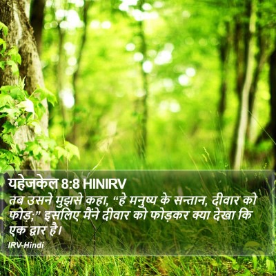 यहेजकेल 8:8 HINIRV Bible Verse Image