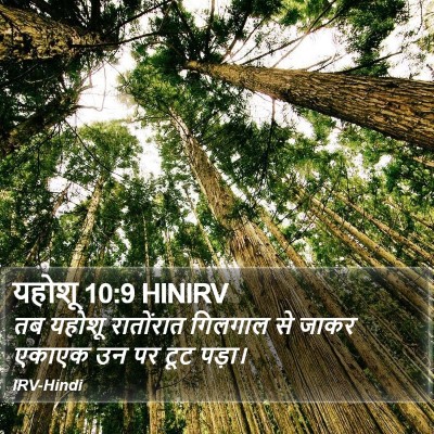 यहोशू 10:9 HINIRV Bible Verse Image