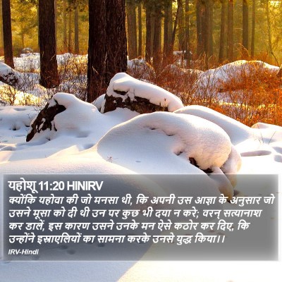 यहोशू 11:20 HINIRV Bible Verse Image