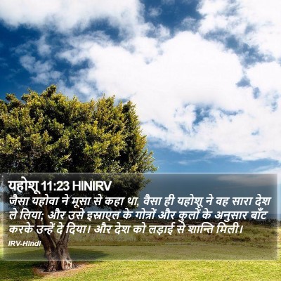 यहोशू 11:23 HINIRV Bible Verse Image