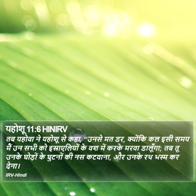 यहोशू 11:6 HINIRV Bible Verse Image