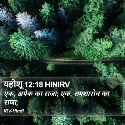 यहोशू 12:18 HINIRV Bible Verse Image